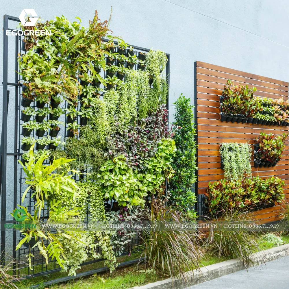 Vườn đứng giúp biến những bức tường đơn điệu thành một bức tranh xanh sống động.